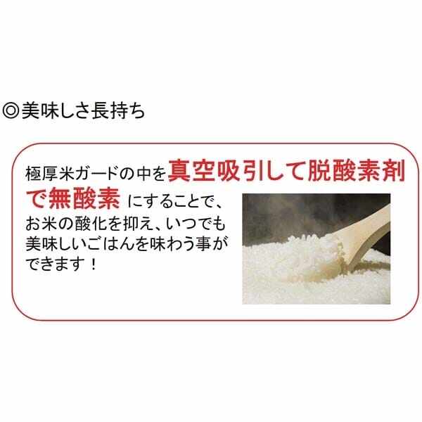 環境技研 米ガード （脱酸素剤1ヶ スライダー1ヶ付き） 30kg玄米袋