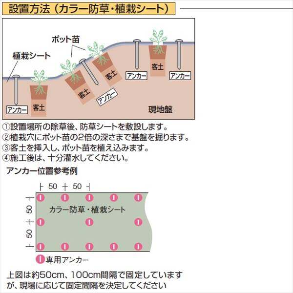 タカショー カラー防草・植栽シート 100m巻 TBB-100B コード：50687300