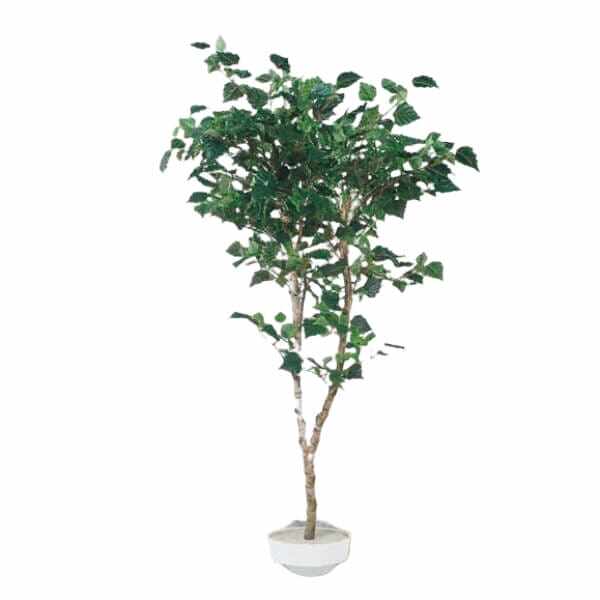 グローベン リフェイクグリーン 人工植物 樹木・屋内用 白樺（1本立