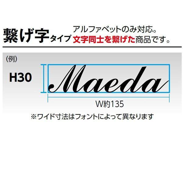 タカショー De-signシリーズ letter cube つなげ字H30（10文字以内） HDA-H005 『表札 サイン