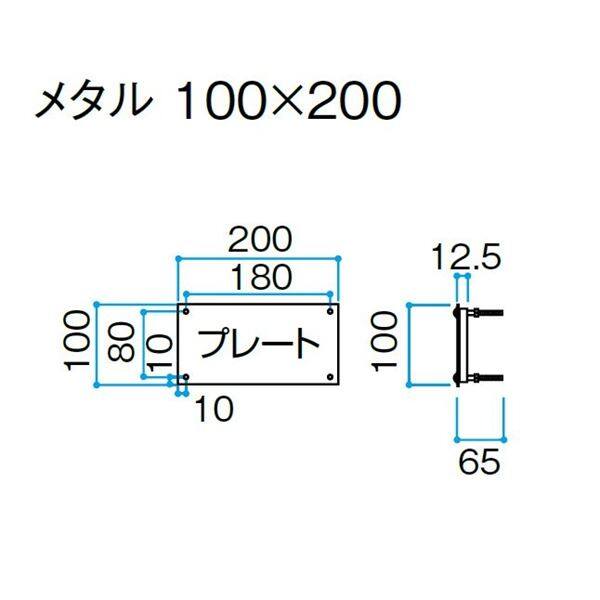 タカショー De-signシリーズ De-sign メタル メタル 100V DCP-04 銅板 『表札 サイン 戸建』